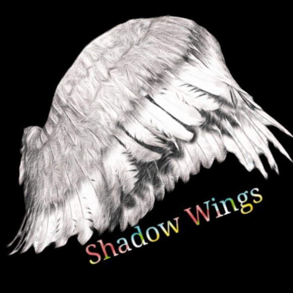 Shop Policies: Shadow Wings - Picture 1 of 9